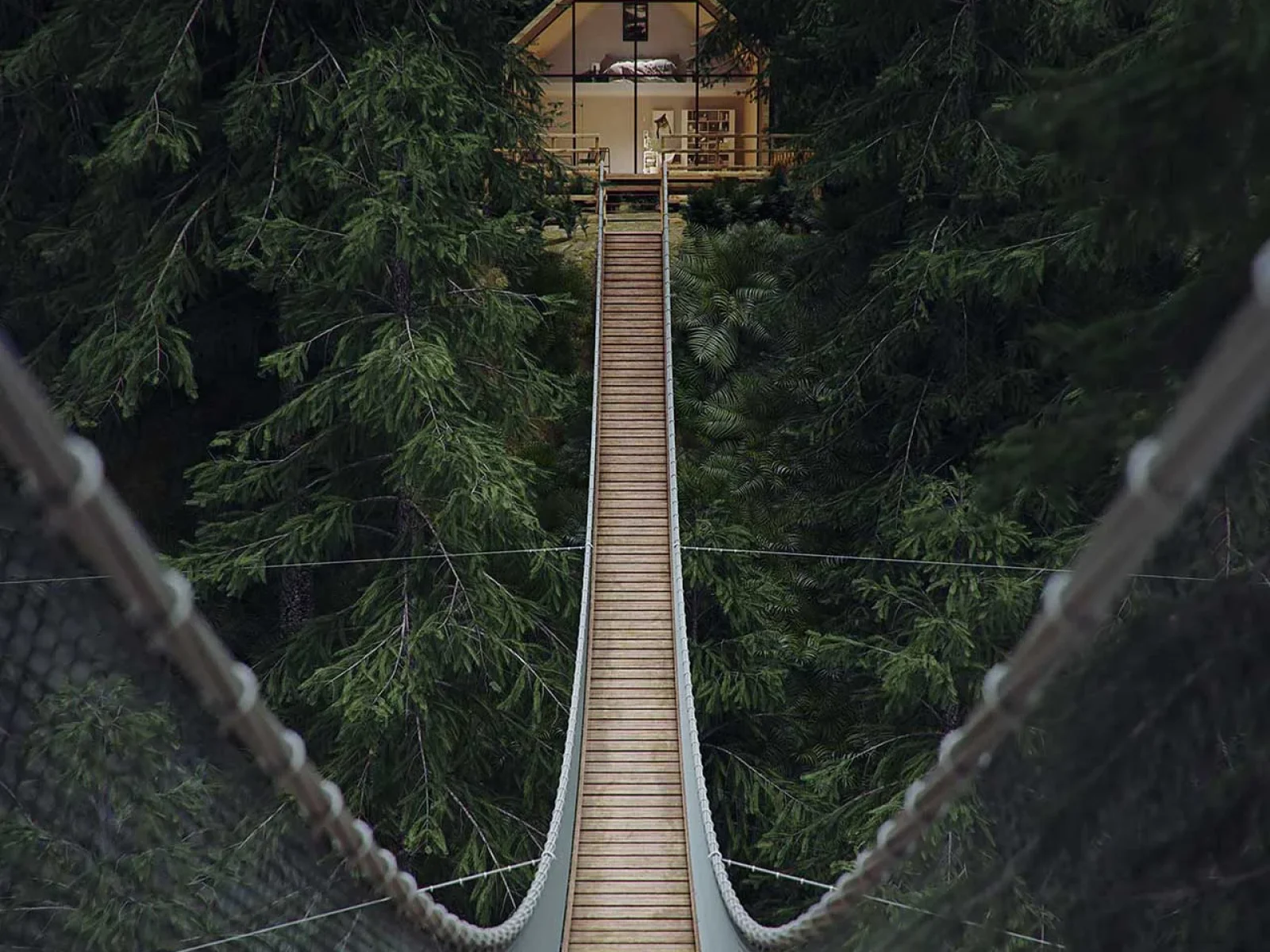 treetop_1